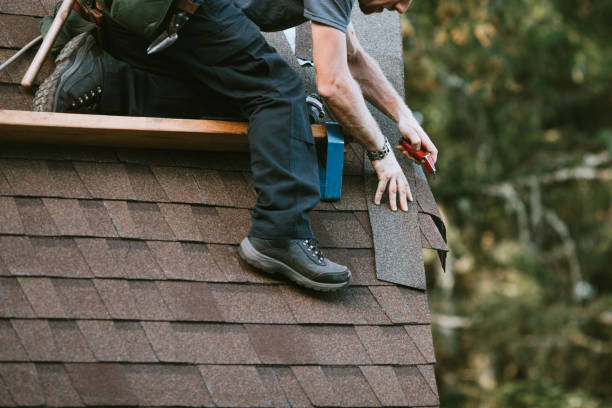 Best Roof Gutter Cleaning  in Jordan, MN